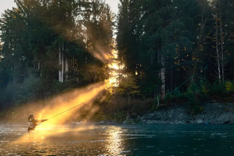 The Commitments That Have You