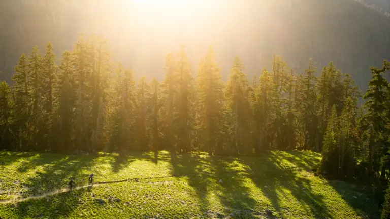 Building Outsight: Great Leaders Don’t Go It Alone